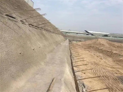 莘县河道边坡加固
